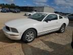 2005 Ford Mustang