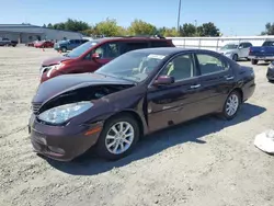 Salvage cars for sale at Sacramento, CA auction: 2004 Lexus ES 330