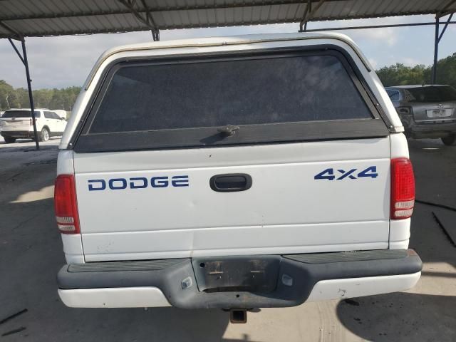 2000 Dodge Dakota Quattro