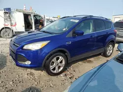 Salvage cars for sale at Cahokia Heights, IL auction: 2013 Ford Escape SE