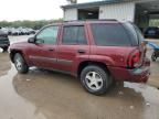 2004 Chevrolet Trailblazer LS