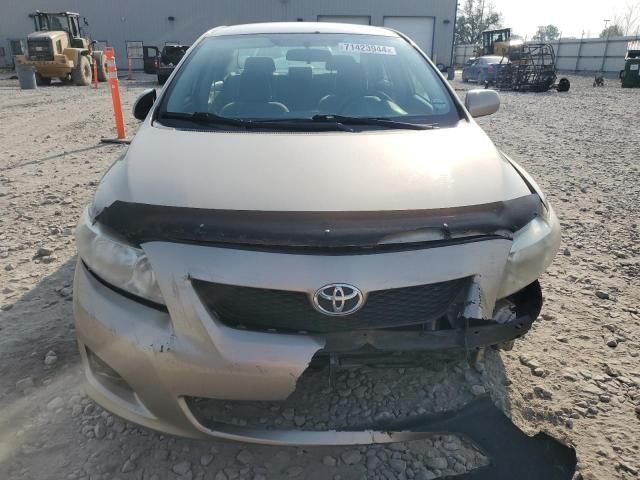 2010 Toyota Corolla Base