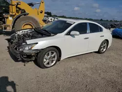 Nissan Vehiculos salvage en venta: 2014 Nissan Maxima S