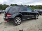 2010 Mercedes-Benz ML 350 4matic