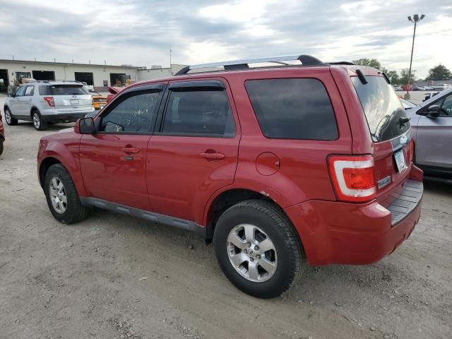 2010 Ford Escape Limited