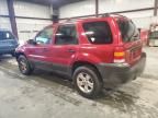 2007 Ford Escape XLT