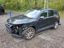 Salvage cars for sale at Cookstown, ON auction: 2012 Volkswagen Tiguan S