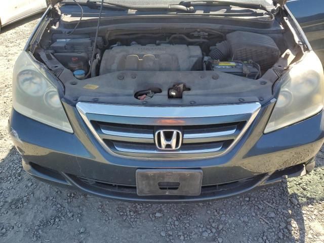 2005 Honda Odyssey EX