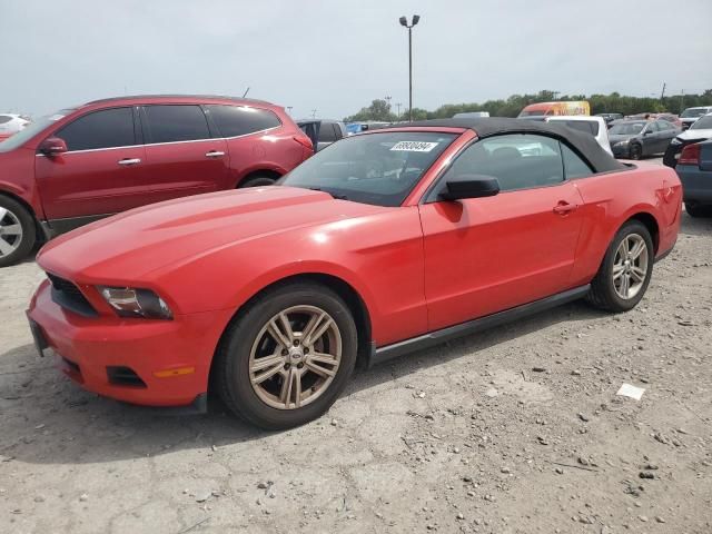 2010 Ford Mustang