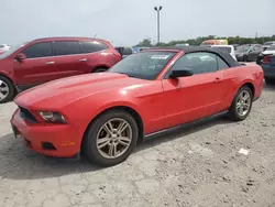 Vehiculos salvage en venta de Copart Indianapolis, IN: 2010 Ford Mustang