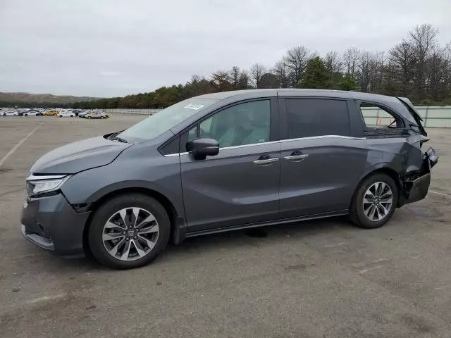 2023 Honda Odyssey EXL