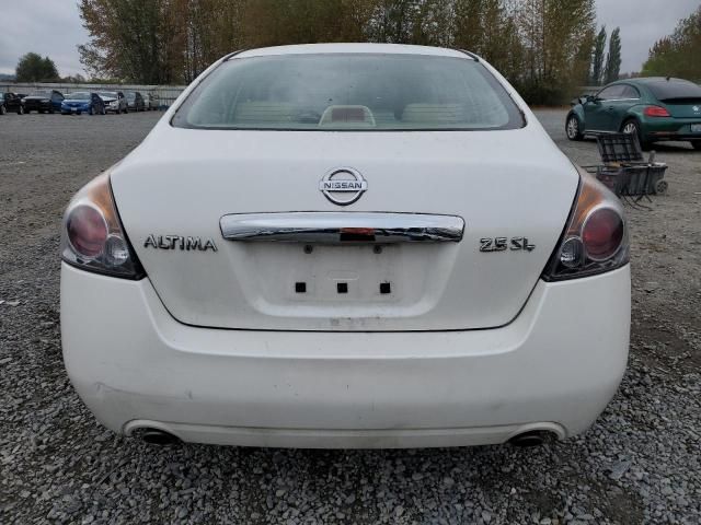 2010 Nissan Altima Base