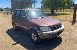 Honda cr-v lx salvage cars for sale: 2001 Honda CR-V LX