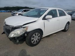 Toyota salvage cars for sale: 2010 Toyota Corolla Base