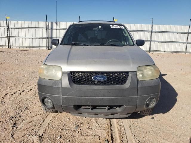 2006 Ford Escape XLT