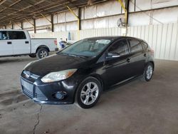 Salvage cars for sale at Phoenix, AZ auction: 2014 Ford Focus SE