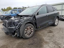 Salvage Cars with No Bids Yet For Sale at auction: 2020 Ford Escape SE