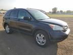 2010 Honda CR-V EXL