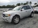 2010 Ford Escape Limited