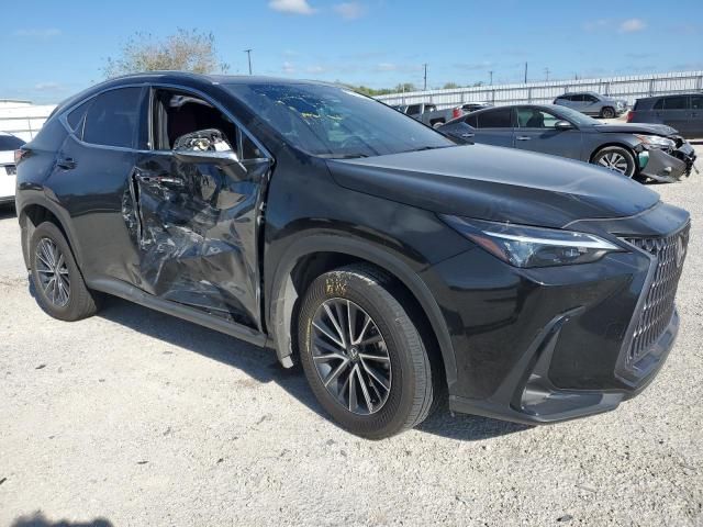 2024 Lexus NX 250 Premium