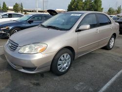 Salvage cars for sale from Copart Rancho Cucamonga, CA: 2003 Toyota Corolla CE