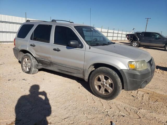 2006 Ford Escape XLT