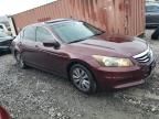 2011 Honda Accord EX