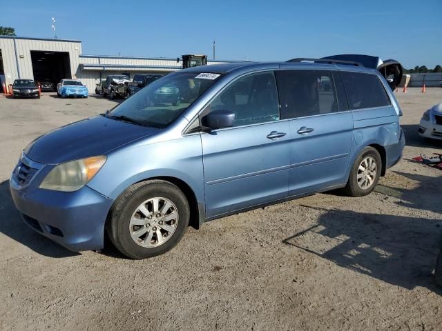 2010 Honda Odyssey EXL