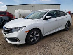 Salvage cars for sale at Rocky View County, AB auction: 2020 Honda Civic LX