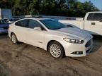 2013 Ford Fusion SE Hybrid