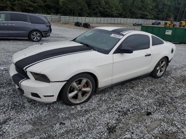 2010 Ford Mustang