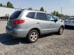 2007 Hyundai Santa FE GLS