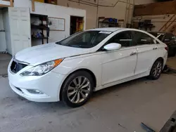 2013 Hyundai Sonata SE en venta en Ham Lake, MN