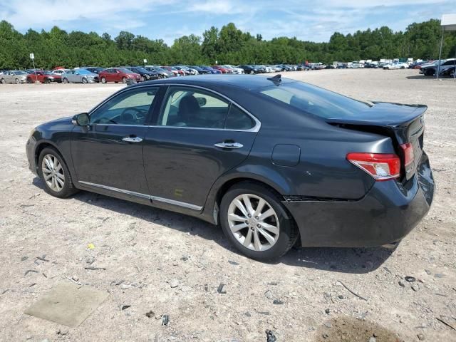 2010 Lexus ES 350