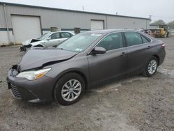 Toyota salvage cars for sale: 2015 Toyota Camry LE