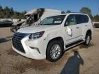 2019 Lexus GX 460