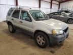 2006 Ford Escape HEV