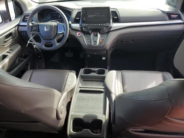 2019 Honda Odyssey EXL