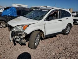 Salvage cars for sale at Phoenix, AZ auction: 2009 Honda CR-V EX