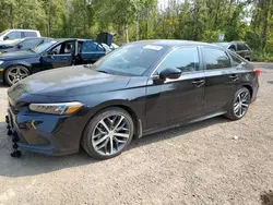 Flood-damaged cars for sale at auction: 2024 Honda Civic Touring