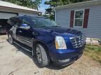 2012 Cadillac Escalade ESV Luxury