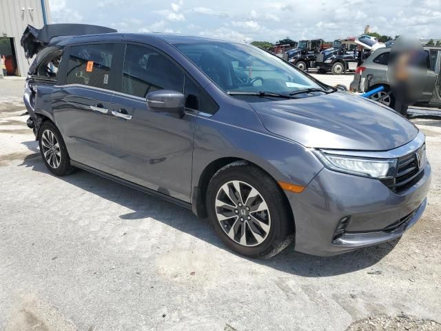 2022 Honda Odyssey EXL