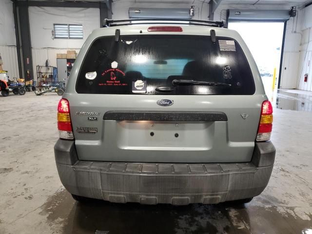 2006 Ford Escape XLT