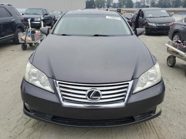 2010 Lexus ES 350