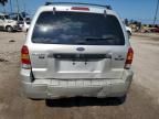 2007 Ford Escape XLT