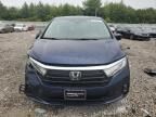 2024 Honda Odyssey EXL