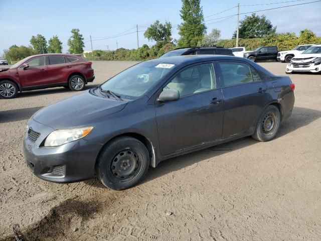 2010 Toyota Corolla Base