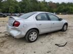 2004 Dodge Neon SXT