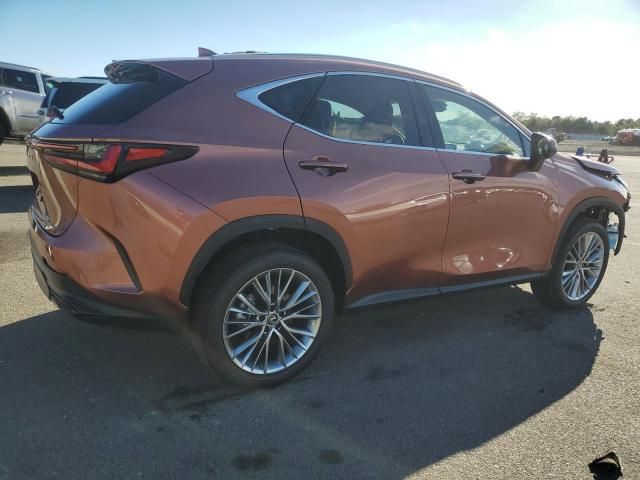 2025 Lexus NX 350 Premium