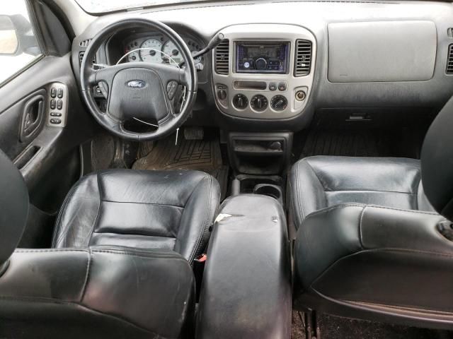 2004 Ford Escape Limited